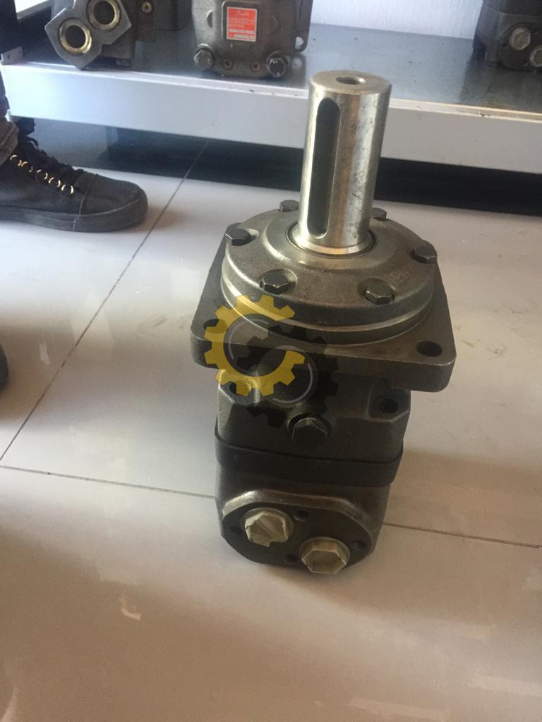 hydraulic motor